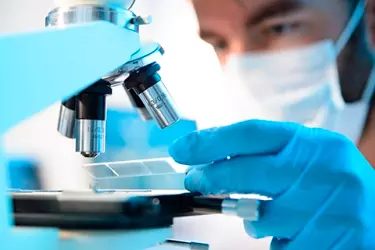 best pathology lab in Katihar, best lab for blood test in Katihar, best nabl lab in Katihar