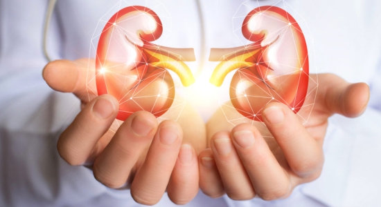 Dr Sumit Kumar, Best Urologist in Katihar, Best Surgeon for Kidney Stones, Best Urologist at Radiant Hospital Katihar